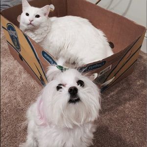 Hello everyone check out my mom’s listing